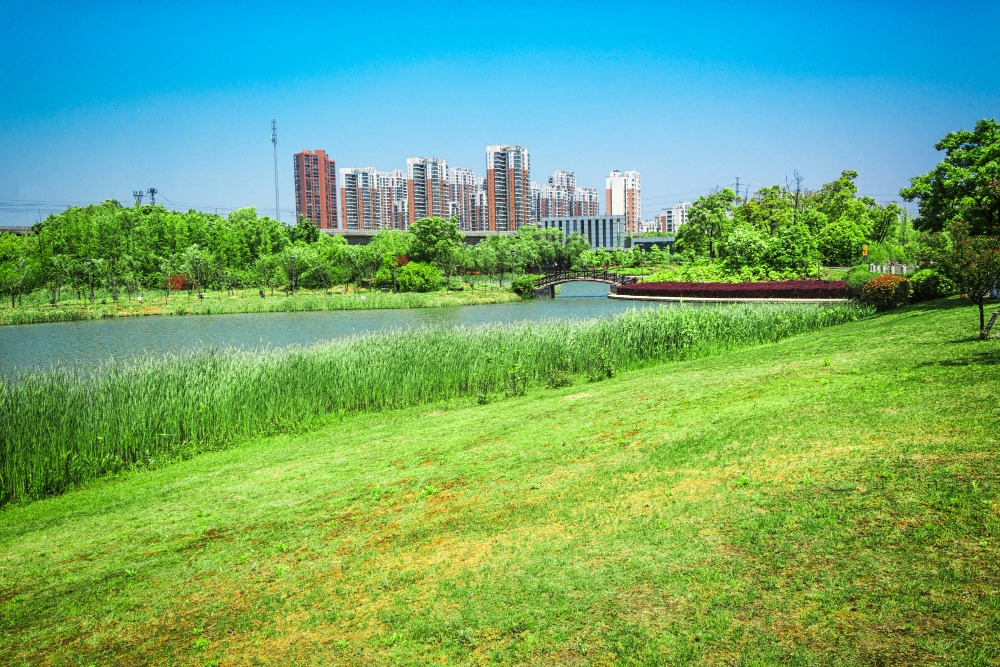 ditch-the-lawn-and-live-in-a-self-sufficient-skyscraper-farm