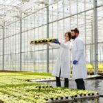 rise-of-indoor-agriculture-sustainable-food-production-the-future-farming