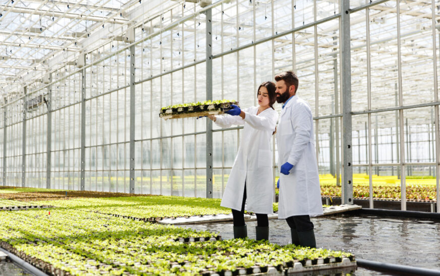 Rise of Indoor Agriculture, Sustainable Food Production &The future farming.