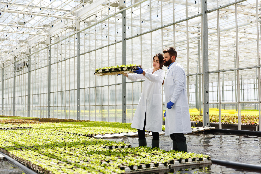 Rise of Indoor Agriculture, Sustainable Food Production &The future farming.