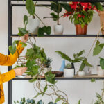 guide-to-vertical-gardening-that-will-maximize-your-harvest-in-tiny-spaces