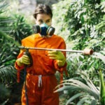 secret-weapon-techniques-for-organic-pest-control-in-your-garden