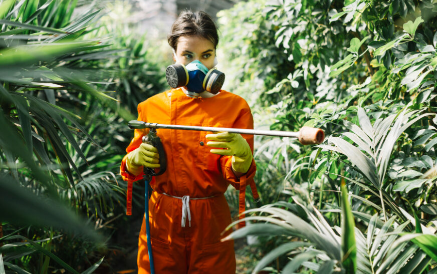 Secret Weapon Techniques for Organic Pest Control in Your Garden