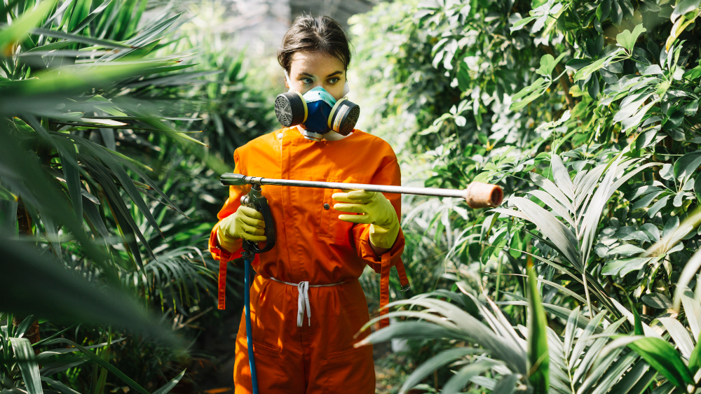 Secret Weapon Techniques for Organic Pest Control in Your Garden